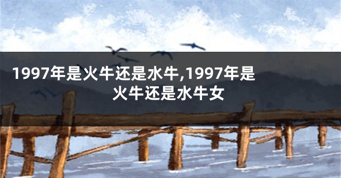 1997年是火牛还是水牛,1997年是火牛还是水牛女