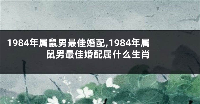 1984年属鼠男最佳婚配,1984年属鼠男最佳婚配属什么生肖