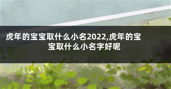 虎年的宝宝取什么小名2022,虎年的宝宝取什么小名字好呢