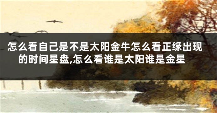 怎么看自己是不是太阳金牛怎么看正缘出现的时间星盘,怎么看谁是太阳谁是金星