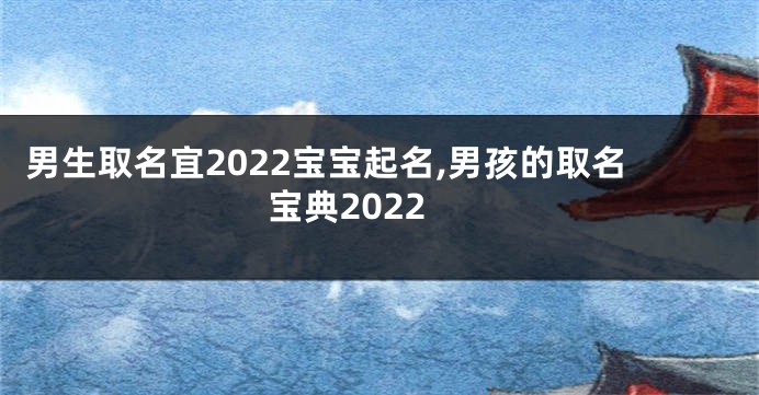 男生取名宜2022宝宝起名,男孩的取名宝典2022
