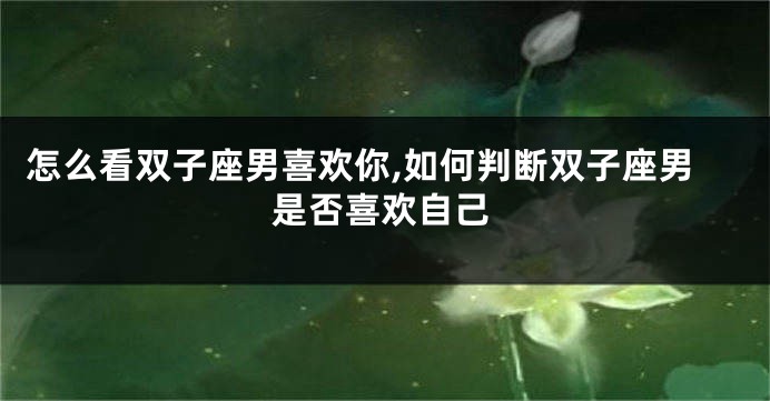 怎么看双子座男喜欢你,如何判断双子座男是否喜欢自己