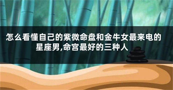 怎么看懂自己的紫微命盘和金牛女最来电的星座男,命宫最好的三种人