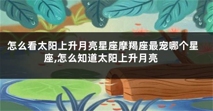 怎么看太阳上升月亮星座摩羯座最宠哪个星座,怎么知道太阳上升月亮