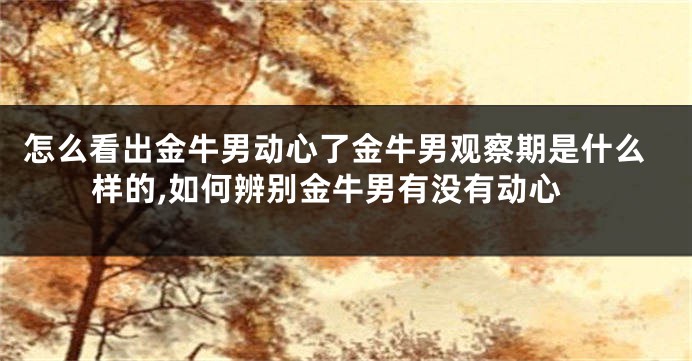 怎么看出金牛男动心了金牛男观察期是什么样的,如何辨别金牛男有没有动心