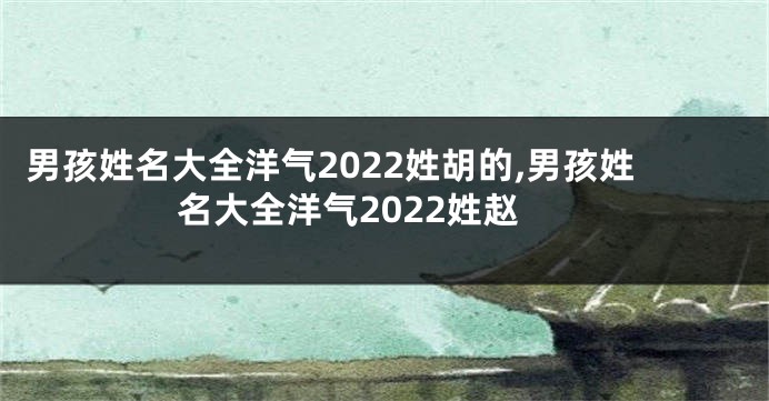 男孩姓名大全洋气2022姓胡的,男孩姓名大全洋气2022姓赵
