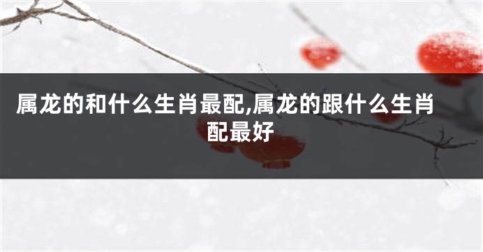 属龙的和什么生肖最配,属龙的跟什么生肖配最好