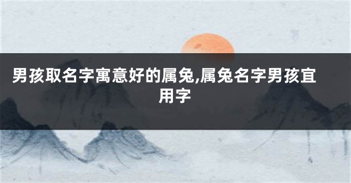男孩取名字寓意好的属兔,属兔名字男孩宜用字
