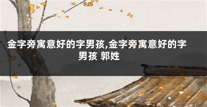 金字旁寓意好的字男孩,金字旁寓意好的字男孩 郭姓