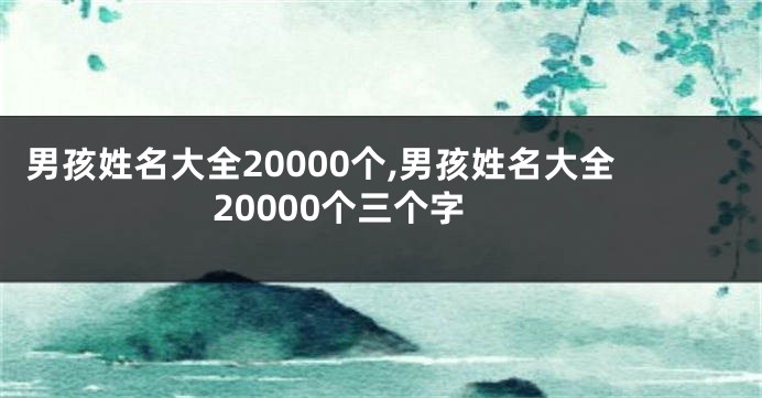 男孩姓名大全20000个,男孩姓名大全20000个三个字