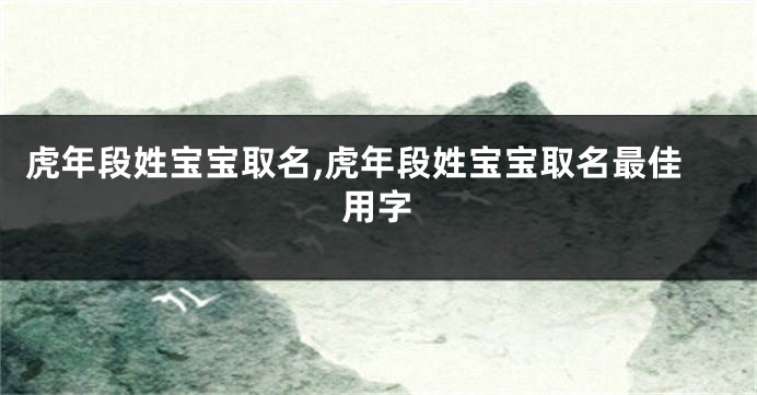 虎年段姓宝宝取名,虎年段姓宝宝取名最佳用字
