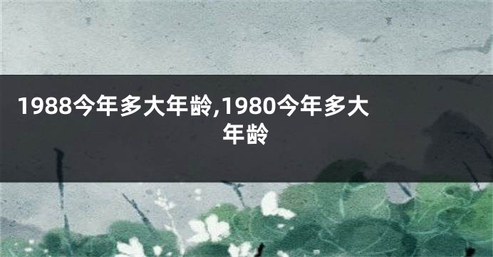 1988今年多大年龄,1980今年多大年龄