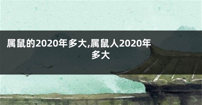 属鼠的2020年多大,属鼠人2020年多大