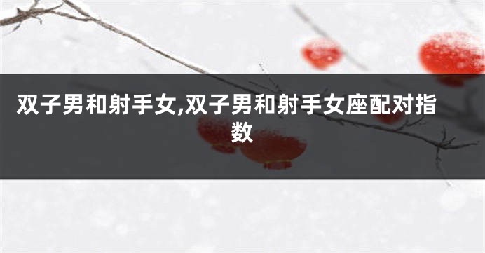 双子男和射手女,双子男和射手女座配对指数