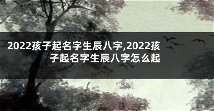 2022孩子起名字生辰八字,2022孩子起名字生辰八字怎么起
