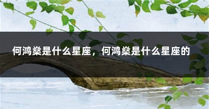 何鸿燊是什么星座，何鸿燊是什么星座的