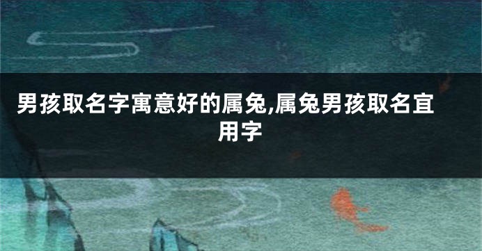男孩取名字寓意好的属兔,属兔男孩取名宜用字