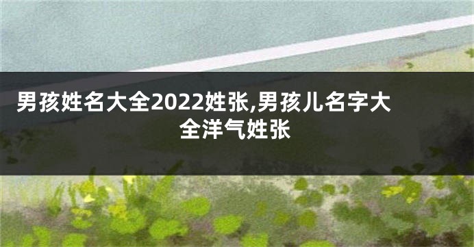 男孩姓名大全2022姓张,男孩儿名字大全洋气姓张