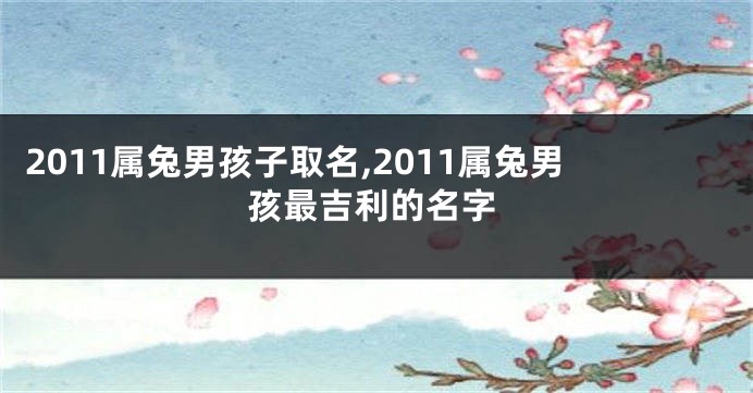2011属兔男孩子取名,2011属兔男孩最吉利的名字
