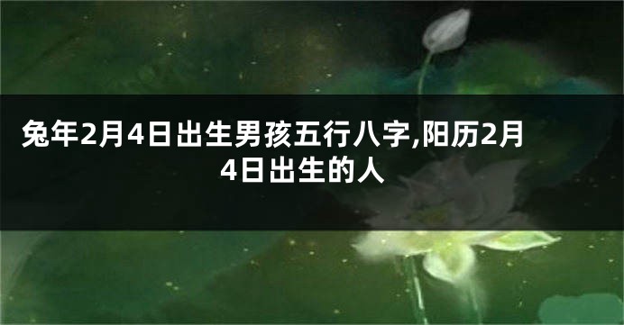 兔年2月4日出生男孩五行八字,阳历2月4日出生的人