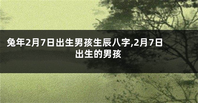 兔年2月7日出生男孩生辰八字,2月7日出生的男孩