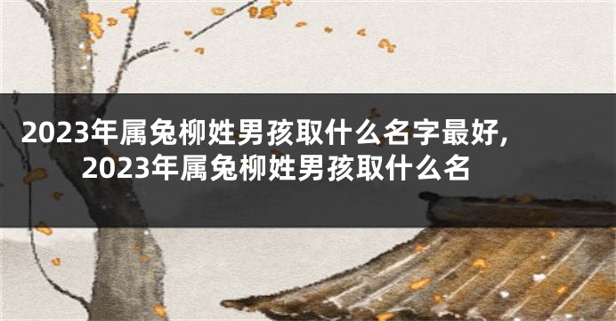 2023年属兔柳姓男孩取什么名字最好,2023年属兔柳姓男孩取什么名