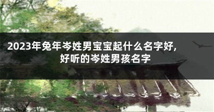 2023年兔年岑姓男宝宝起什么名字好,好听的岑姓男孩名字