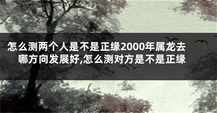 怎么测两个人是不是正缘2000年属龙去哪方向发展好,怎么测对方是不是正缘