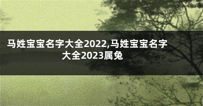 马姓宝宝名字大全2022,马姓宝宝名字大全2023属兔