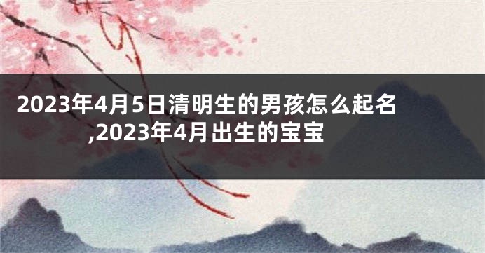2023年4月5日清明生的男孩怎么起名,2023年4月出生的宝宝