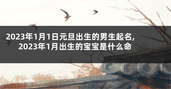 2023年1月1日元旦出生的男生起名,2023年1月出生的宝宝是什么命