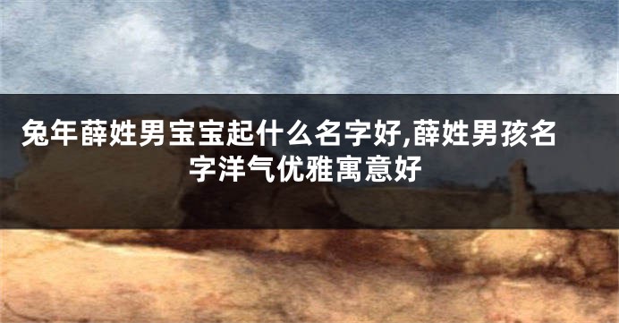 兔年薛姓男宝宝起什么名字好,薛姓男孩名字洋气优雅寓意好