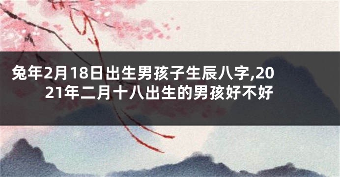兔年2月18日出生男孩子生辰八字,2021年二月十八出生的男孩好不好