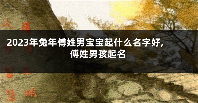 2023年兔年傅姓男宝宝起什么名字好,傅姓男孩起名