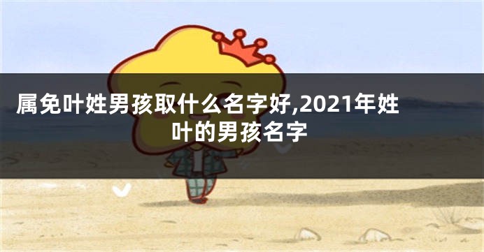 属免叶姓男孩取什么名字好,2021年姓叶的男孩名字