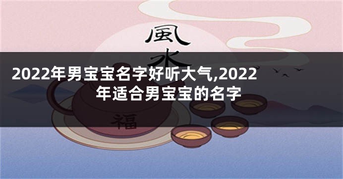 2022年男宝宝名字好听大气,2022年适合男宝宝的名字