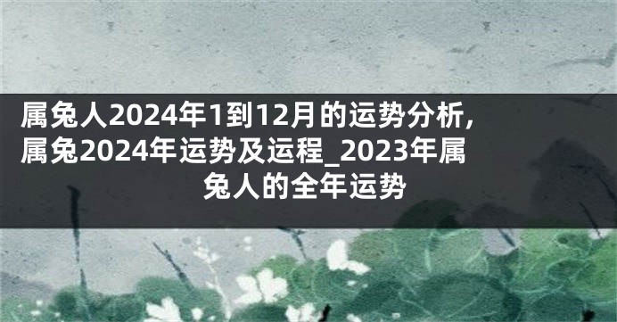 属兔人2024年1到12月的运势分析,属兔2024年运势及运程_2023年属兔人的全年运势