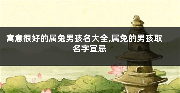 寓意很好的属兔男孩名大全,属兔的男孩取名字宜忌