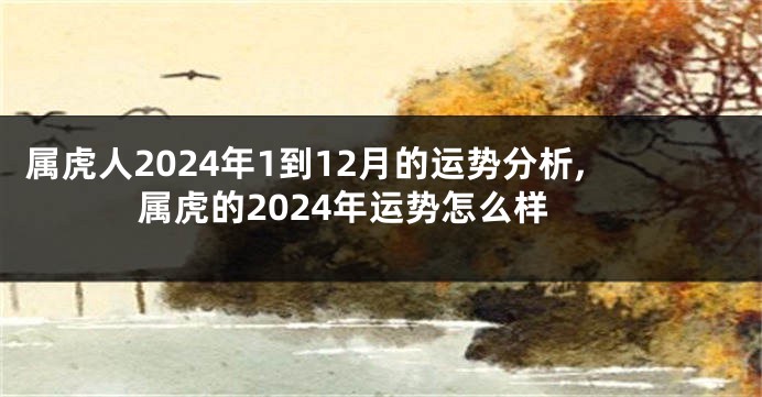 属虎人2024年1到12月的运势分析,属虎的2024年运势怎么样