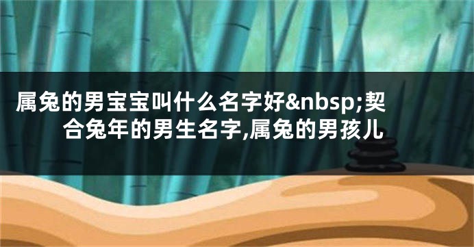 属兔的男宝宝叫什么名字好 契合兔年的男生名字,属兔的男孩儿