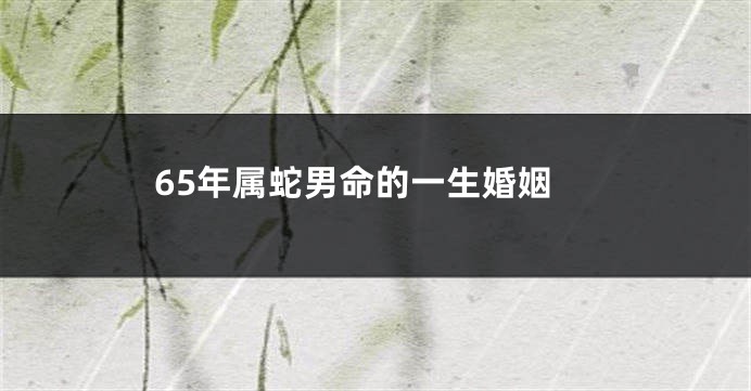 65年属蛇男命的一生婚姻