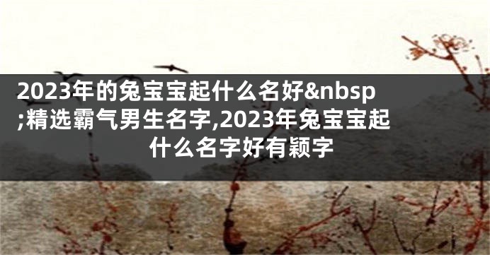 2023年的兔宝宝起什么名好 精选霸气男生名字,2023年兔宝宝起什么名字好有颖字
