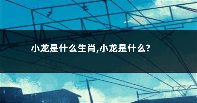 小龙是什么生肖,小龙是什么?
