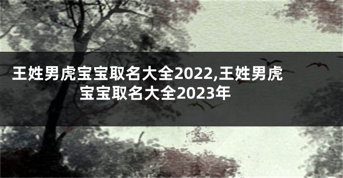 王姓男虎宝宝取名大全2022,王姓男虎宝宝取名大全2023年