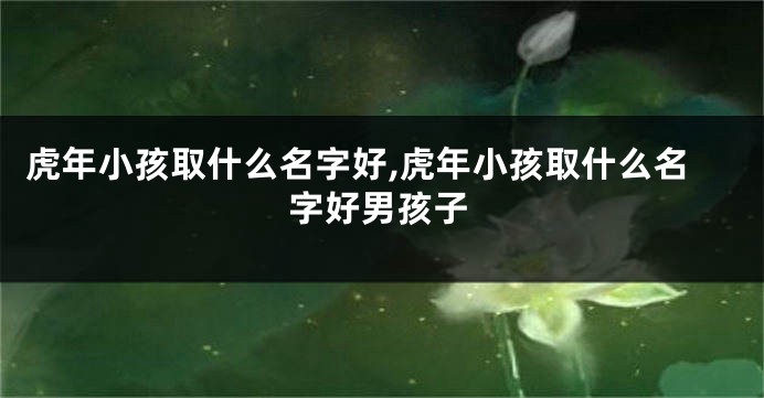 虎年小孩取什么名字好,虎年小孩取什么名字好男孩子