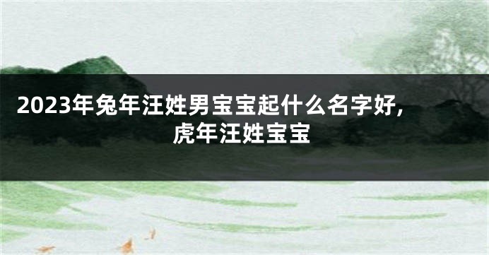 2023年兔年汪姓男宝宝起什么名字好,虎年汪姓宝宝