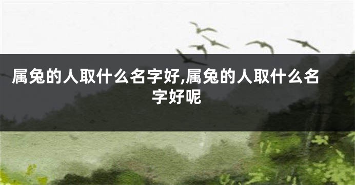 属兔的人取什么名字好,属兔的人取什么名字好呢