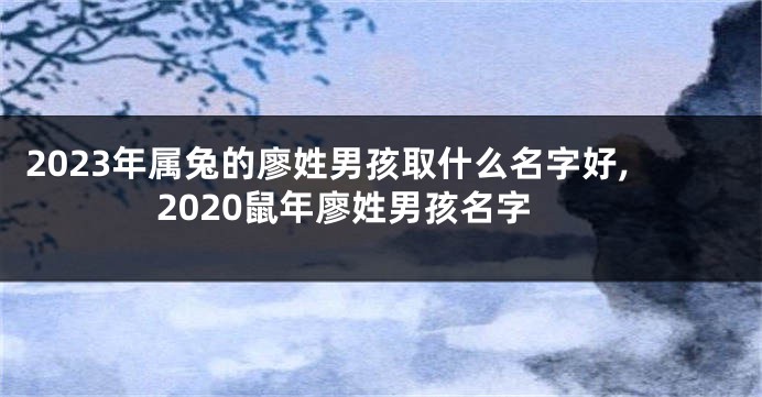 2023年属兔的廖姓男孩取什么名字好,2020鼠年廖姓男孩名字
