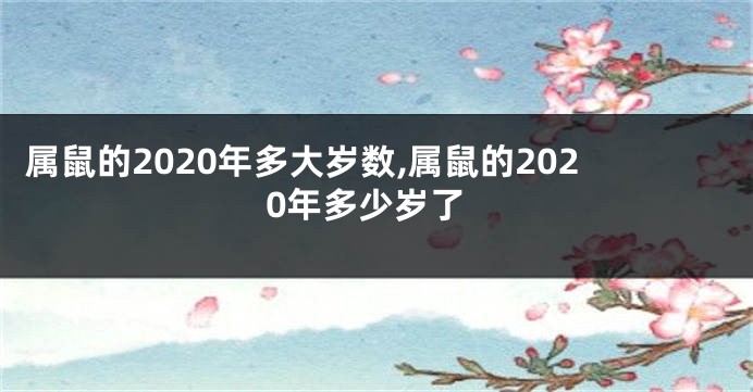 属鼠的2020年多大岁数,属鼠的2020年多少岁了