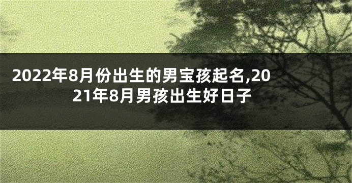 2022年8月份出生的男宝孩起名,2021年8月男孩出生好日子